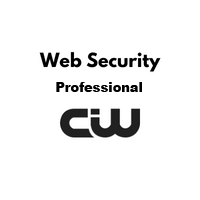 Web Security Professional